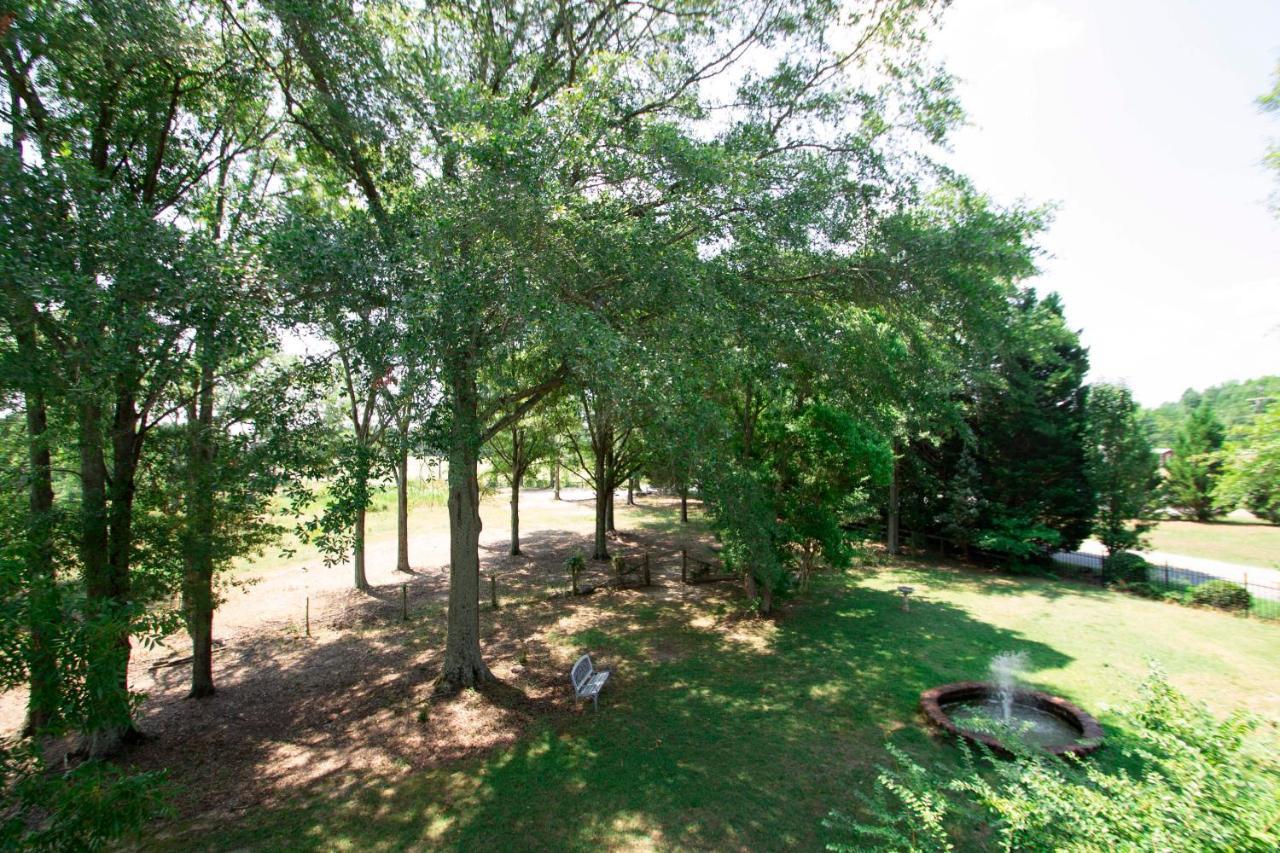 Belton Bed And Breakfast 외부 사진